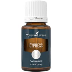 Cypress Essential Oil - 15ml