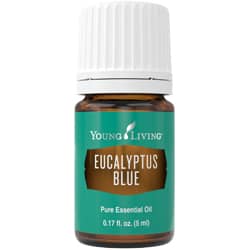 Eucalyptus Blue Essential Oil - 5ml